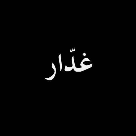 pic loading ...