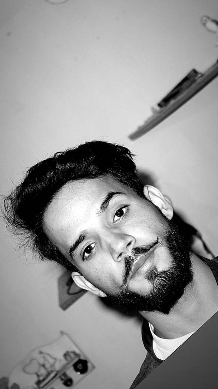 pic loading ...