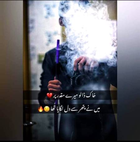 pic loading ...