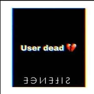 pic loading ...