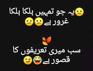 pic loading ...
