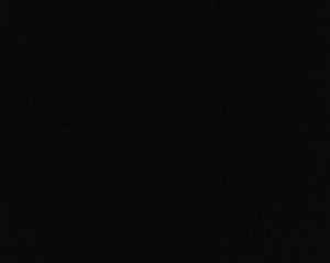 pic loading ...
