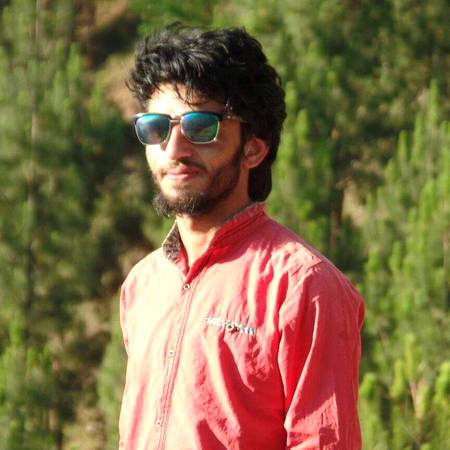 pic loading ...