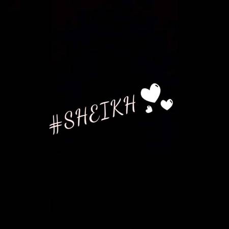 pic loading ...