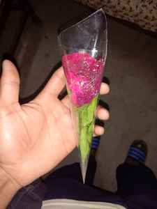 pic loading ...