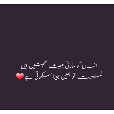 pic loading ...