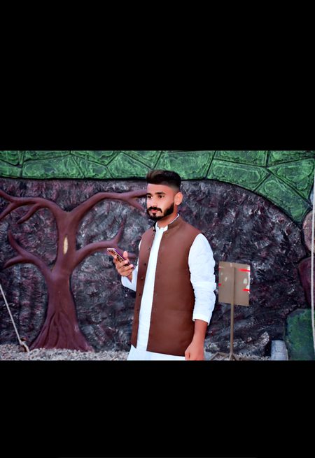 pic loading ...