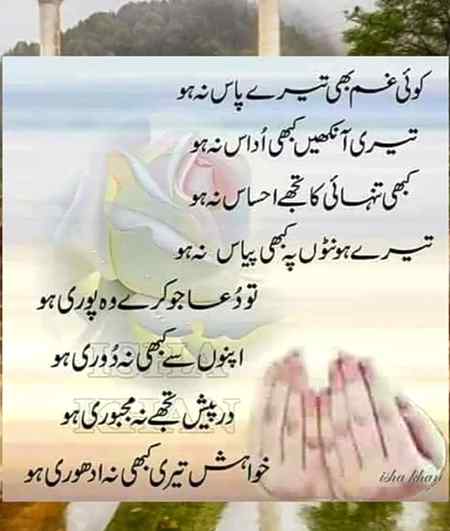 hlo friends