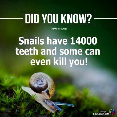 Psychology Facts
