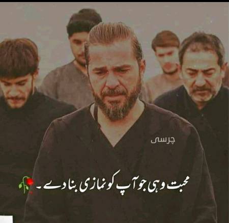 Sachi muhbat