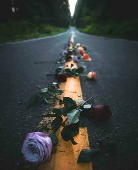 اک راہ سے گزرا تو منظر یوں دیکھا۔۔
کچھ پھول تھے بکھرے۔ سوکھے پتوں کو دیکھا۔۔
کچھ سوچا تو عشق ٹوٹتا ہؤا پایا۔۔
آج اک اور شخص کو زندگی سے روٹھتے دکھا۔۔
🔥 Regard by ARSl 🔥