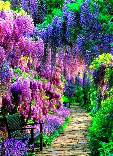 Beautiful art