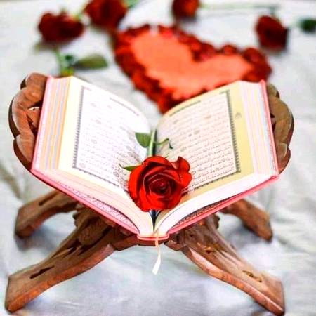 Aik Question h jis Ko pTa h btay wo
Q First Surat of Quran pak and last Surat of Quran pak?