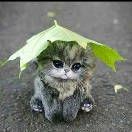 “Happiness depends not on things around me, but on my attitude.”
~