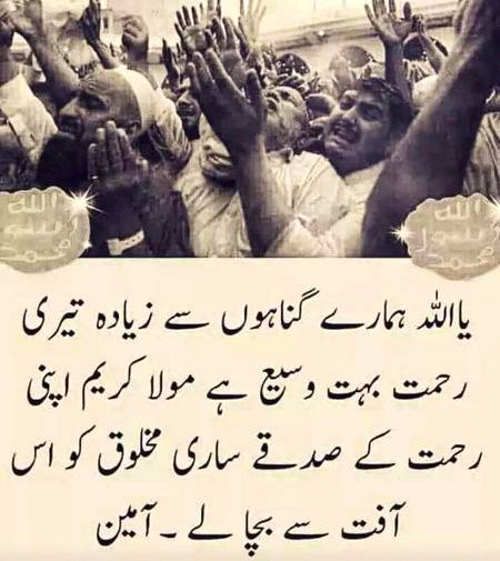 🌹🌹🌹صلی اللہ علی حبیبہ محمد نور من نوراللہ وعلی آلہ واہل بیتہ وعترتہ وازواجہ وصحبہ وجدہ وذریتہ و کل امتہ وبارک وسلم کثیراً کثیرا و دائماً ابدا 🌹🌹🌹