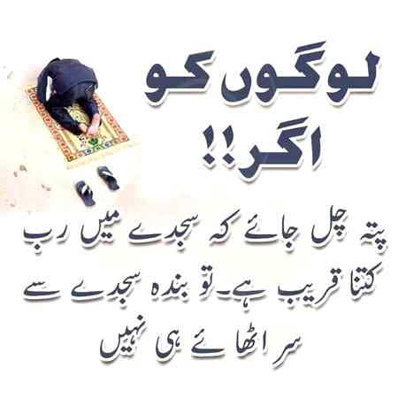 ,,, right,,,