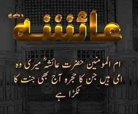 ﺗﯿﺮﮮ ﺣﺠﺮﮮ ﮐﯽ ﻋﻈﻤﺖ ﮐﺎ ﮐﯿﺎ ﺫِﮐﺮ ﮨﻮ ...
ﺧﻮﺩ ﮔﻮﺍﮦ ﮨﮯ ﻣﮑﯿﻦ ﻭ ﻣﮑﺎﮞ ﻋﺎﺋﺸﮧؓ ...
ﺣﺠﺮﮦ ﺁﻗﺎﷺ ﻧﮯ ﭼﮭﻮﮌﺍ ﻧﮩﯿﮟ ﺁﭖؓ ﮐﺎ ...
ﺑﮭﯿﺞ ﺩﯼ ﺭﺏﷻ ﻧﮯ ﺟﻨﺖ ﻭﮨﺎﮞ ﻋﺎﺋﺸﮧؓ