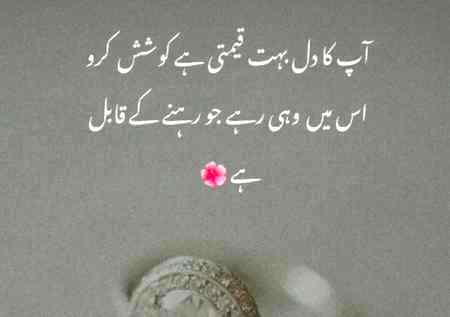 Beshak....❤🙂