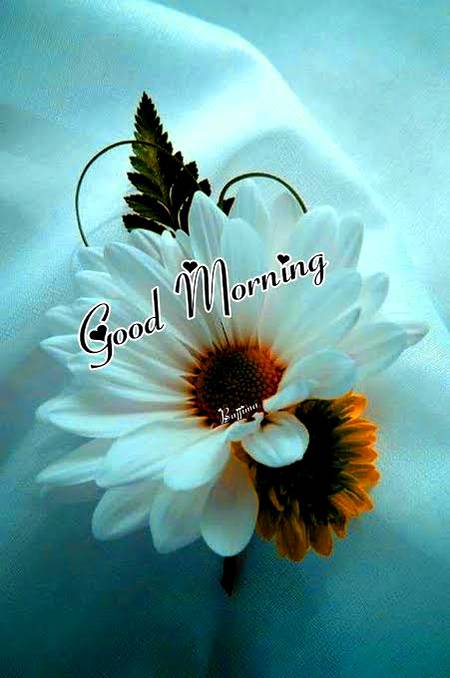Have a nice day