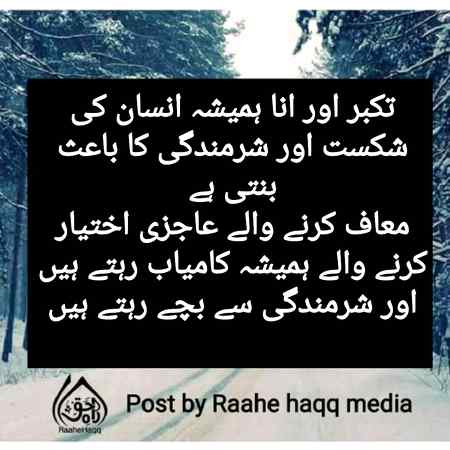 hlo friends