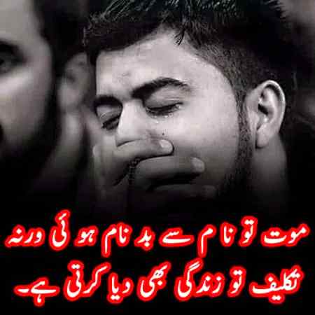 Mughal sharni