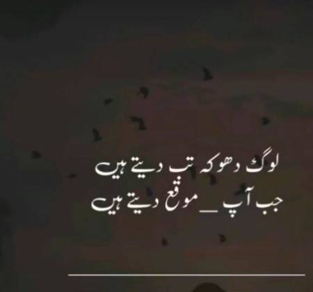 Bilkul 💯💯