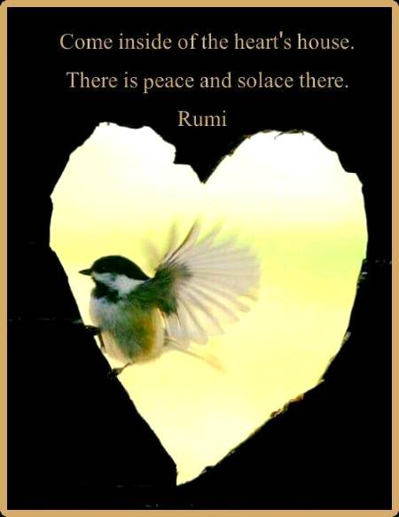 RUMI'S WORDS