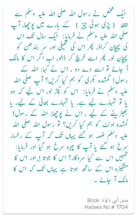 Gumshuda cheez