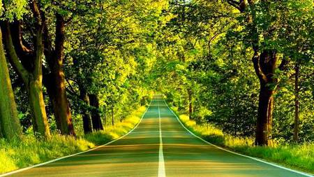 Beauty of nature