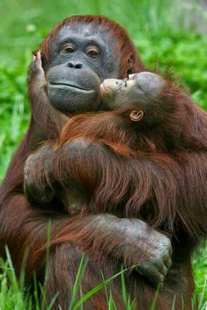 Awesome photography(a mother with his child)💕💕