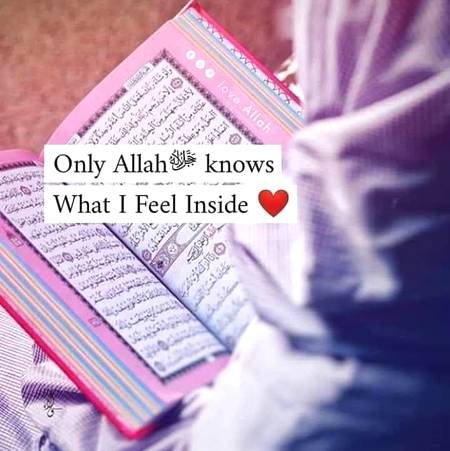 🌺دعا ہے رب سے کہ وہ آپ سب کو ہمیشہ آسانیاں کامیابیاں اور خوشیاں نصیب فرمائے اچھی صحت مند لمبی زندگی عطا فرمائے 
اور کبھی کسی کا محتاج نہ کرے
ہمیشہ اللہ پاک آپ کی حفاظت فرمائے
ہمیشہ اللہ کی امان میں رہیں

 🌺آمیـــن  ثم آمیـن یا رب العالمین 🌺