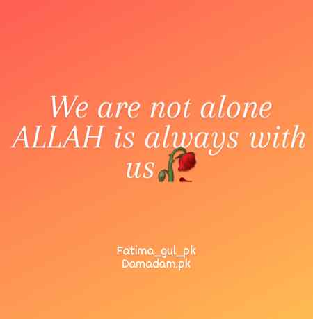 Allah....❤