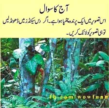 10 sec mai dhoond le
