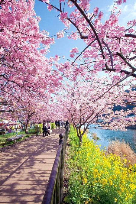 Beautiful... Capture... Russia