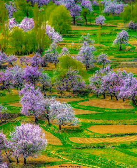 🌿🌿🌿🌿🌿🌱🌱🌱🌱