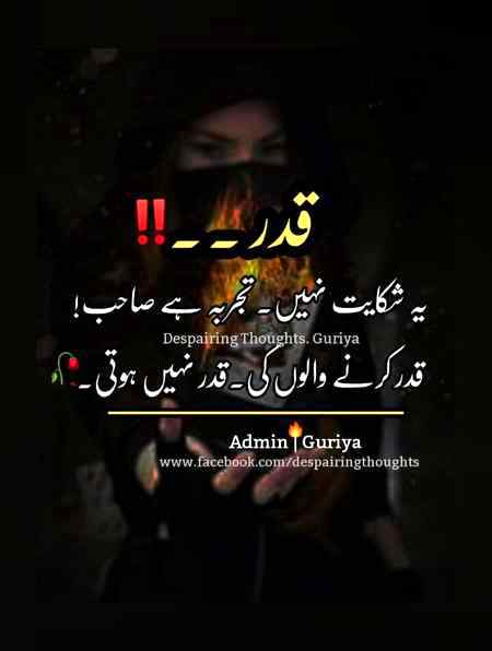 Bilkul...💔💔