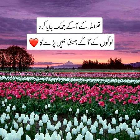 اللہ کے آگے جھک جاؤ لوگوں کے آگے جھکنے کی ضرورت نہیں پڑے گی