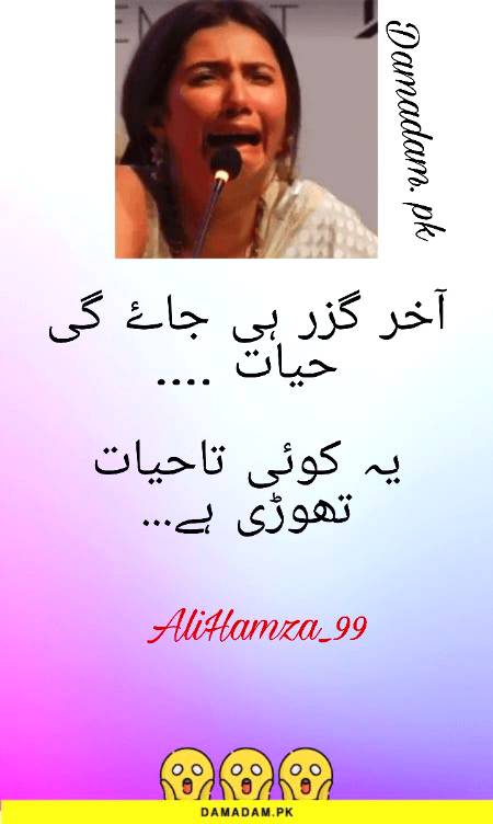Guzar jaye gi