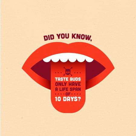 Fact knowledge