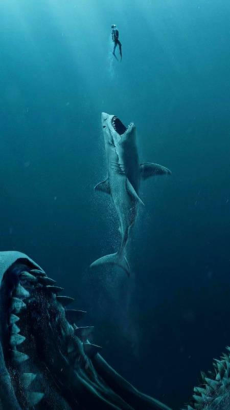 Amazing photography.