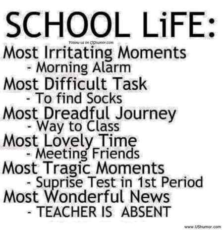School life