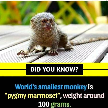 DID YOU KNOW??