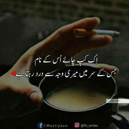 hlo friends