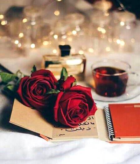 Wo Mil Jaye Mujhe to Youn Samjhon Gi Sagar!
Jannat Ka Ilaan Ho Kisi Gunah–Gar Ke Liye..!