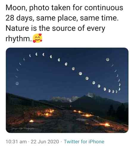 Love Allah's Creations💜