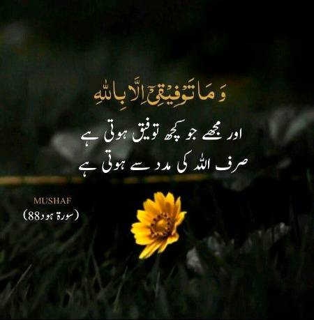 Aur mujhe jo kuch tofeeq hoty hy