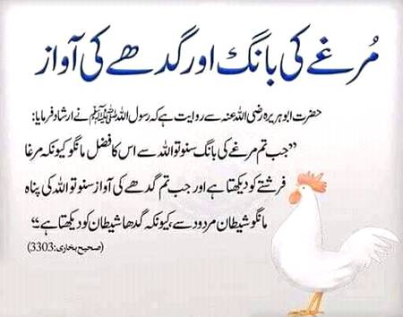 🌹🌹🌹صلی اللہ علی حبیبہ محمد نور من نوراللہ وعلی آلہ واہل بیتہ وعترتہ وازواجہ وصحبہ وجدہ وذریتہ و کل امتہ وبارک وسلم کثیراً کثیرا و دائماً ابدا 🌹🌹🌹