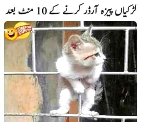 Sending by fareed ahmed shaikh