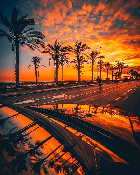 Photogrraphy✌👌🔥🔥💥🌿🍁💐