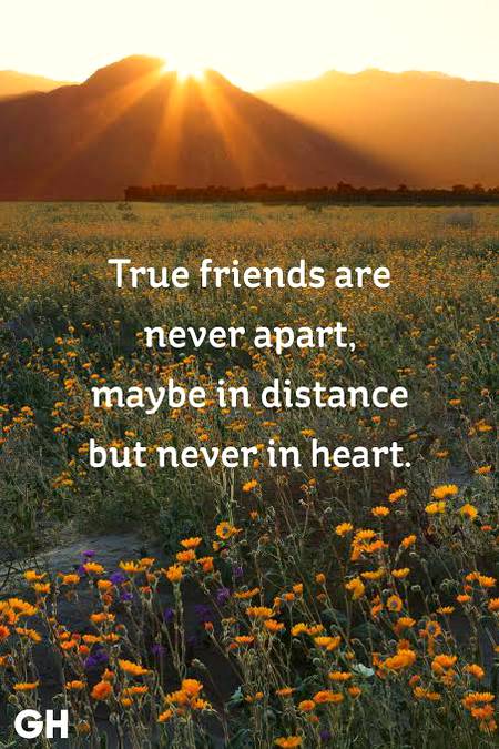 That's for you dear❤ 😉